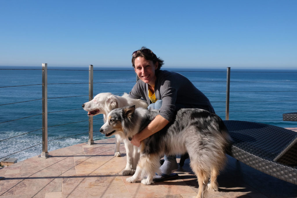 Leo beim House Sitting mit zwei Hunden auf einem Balkon am Meer.