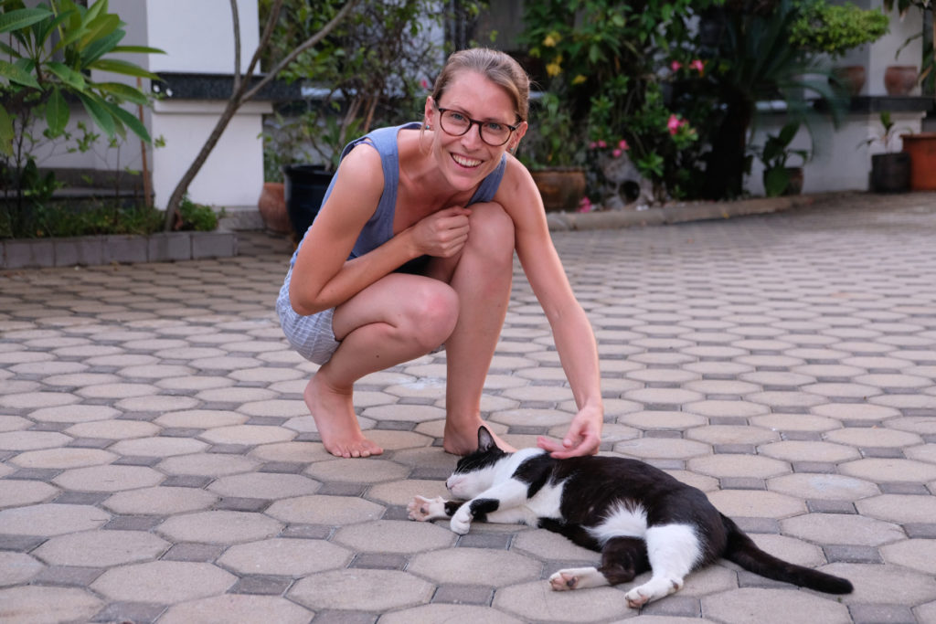 Leo streichelt beim House Sitting in Bangkok eine Katze.